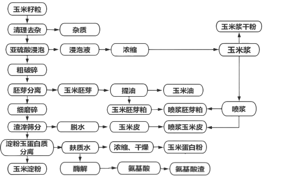 氨基酸方向玉米深加工過程.png