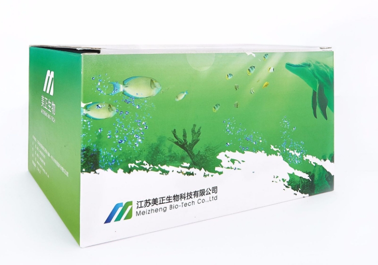 微信截圖_20250320102003.png